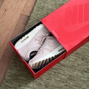 Nike Air Max 1 Pinnacle (rare)